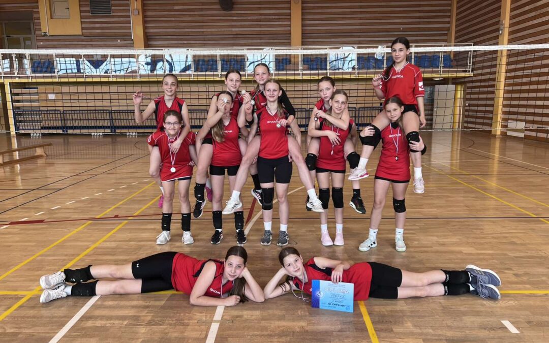 Županijsko natjecanje u odbojci