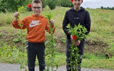 Sudjelovali smo u Alien CSI Bioblitz projektu!