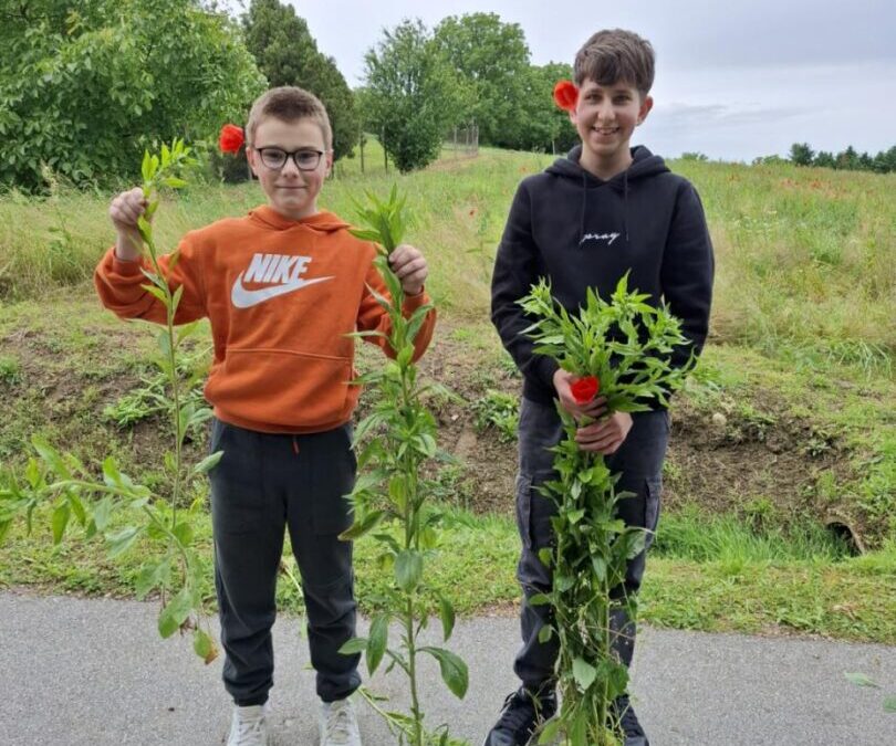 Sudjelovali smo u Alien CSI Bioblitz projektu!
