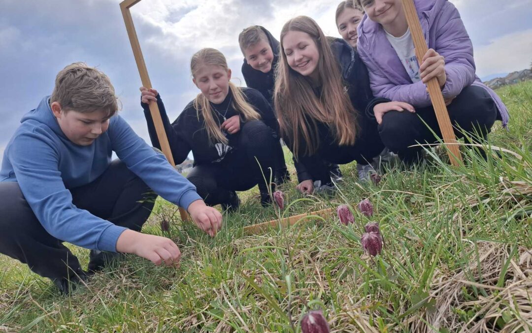 Kockavica – dragulj naših livada i učionica na otvorenom