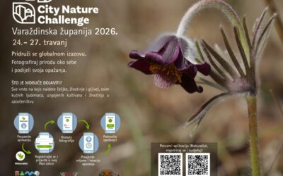 Uključite se u City Nature Challenge 2026 (24.–27. travnja)